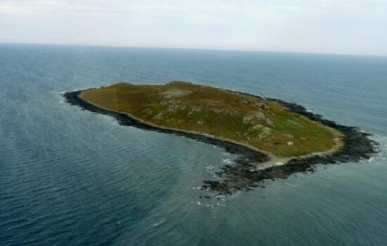 Ninth Island